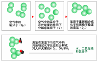 臭氧消毒器的結(jié)構(gòu)是怎樣的？